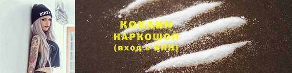 ешки Аркадак