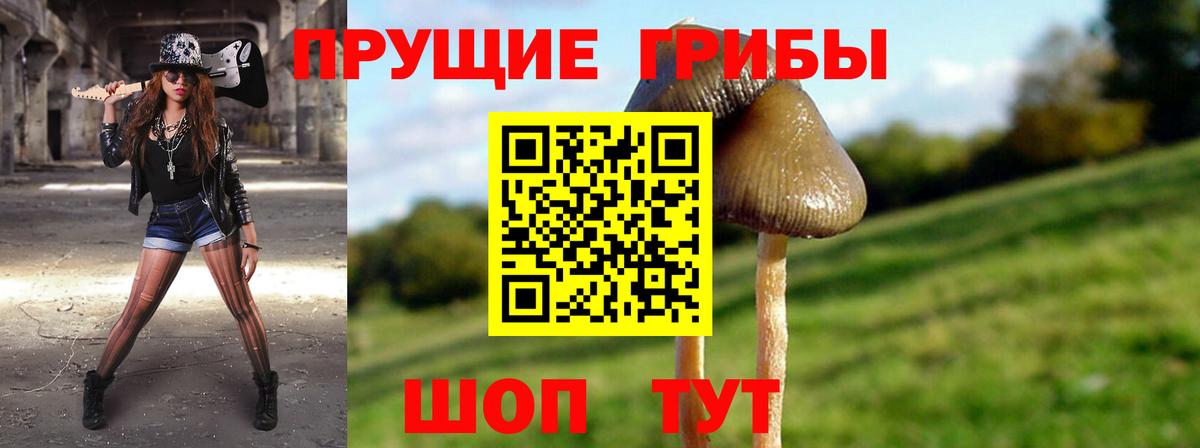 Галлюциногенные грибы мицелий  Галлюциногенные грибы GOLDEN TEACHER  Вход с VPN  Набережные Челны 